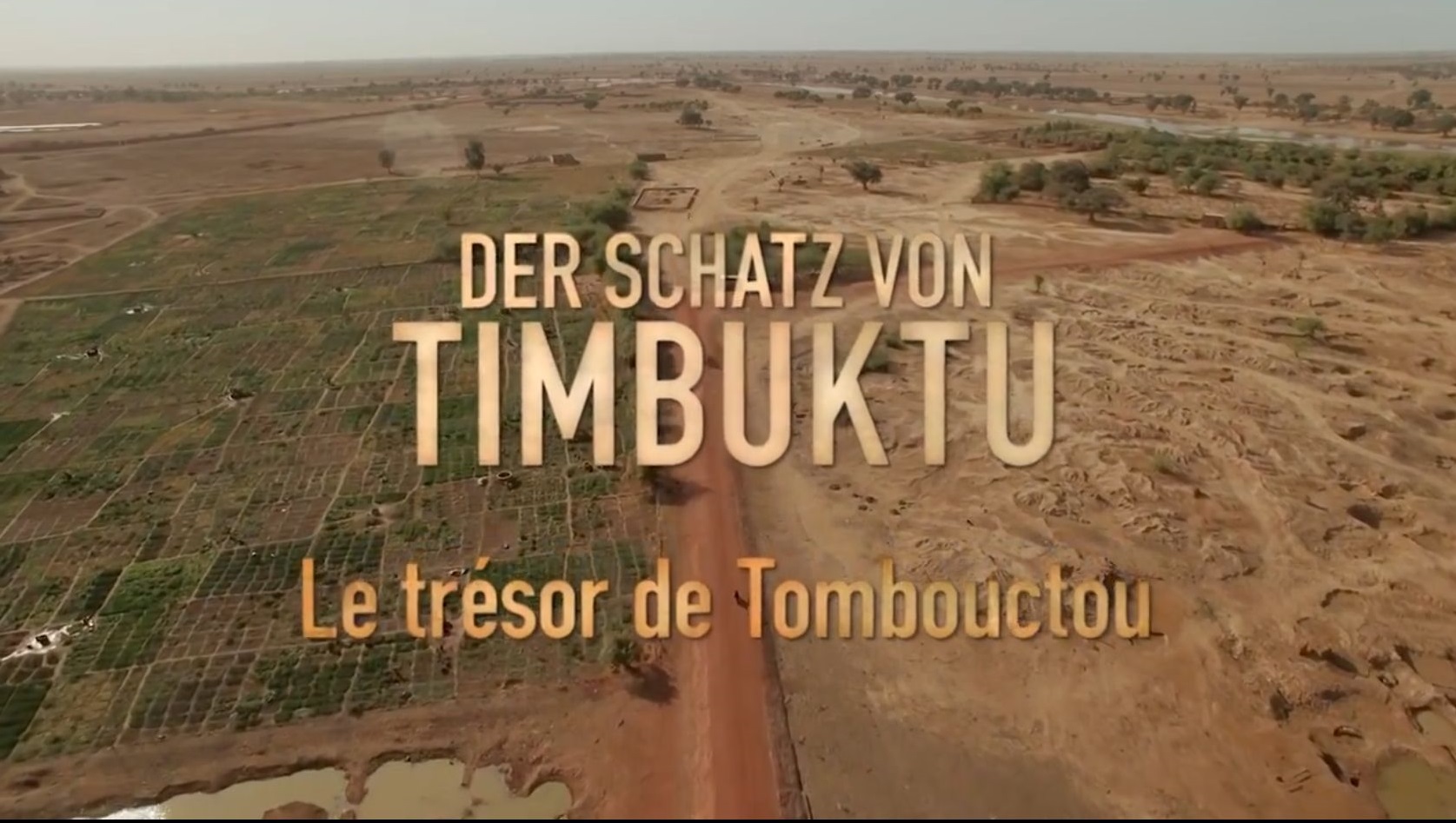 Der Schatz von Timbuktu, die geschichte einer rettung